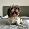 Justin Thiry G - @justin.thiry.g - TikTok