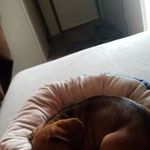 Justin Thrift - @justin_thrift - Instagram