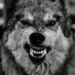 Justin James Thurston - @thurston.justin - Instagram