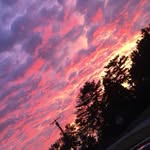 Justin timms - @timms6431 - Instagram