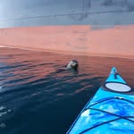 Justin Timms - @justintimmsalake - Instagram