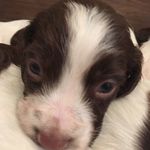 Justin Toombs - @justin.toombs.77 - Instagram
