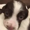 justintoombs - @justintoombs - TikTok