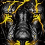 Jay King - @trimmer.justin - Instagram