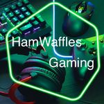 Justin Tsui - @hamwaffles_gaming - Instagram