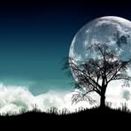 Justin Tyree - Facebook