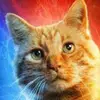 JUSTIN VANDENBERG - @user2048824702170 - TikTok