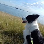 Justin VanEsch - @justinvanesch2 - Instagram
