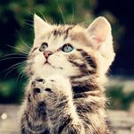 justin jan venner - @justinjanv - Instagram
