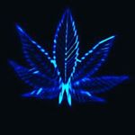 Justin venner - @vennerjustin67 - Instagram
