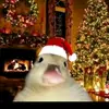 Justin vera - @justin.vera57 - TikTok