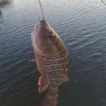 Justin Wagers - @rabbisteam - Instagram