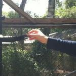 Justin Waggoner - @nitsuj00 - Instagram