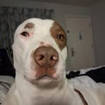 justin walters - @m.c.black.420 - Instagram