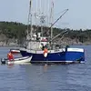 Justin Wareham - @skipper_81 - TikTok