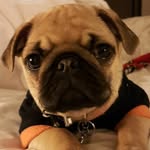 Justin Watters - @juslivin55 - Instagram