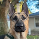 Justin Watters - @justinhades32 - Instagram
