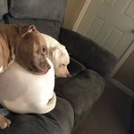 Justin Weidner - @jaydubbz48 - Instagram