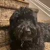 Justin Weinstein - @justin.weinstein - TikTok
