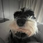 Justin Wessels - @justin_wessels_ - Instagram
