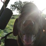 Justin Westerhold - @justin_westerhold - Instagram