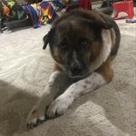 Justin Willey - @willey_justin - Instagram
