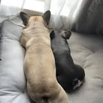 Justin Wilton - @justin.23.w - Instagram