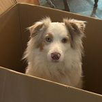 Justin Winch - @justinwinch - Instagram