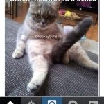 Justin Wirth - @riderfan123456 - Instagram