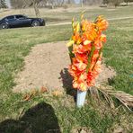 Justin Witt - Facebook