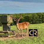 Justin Witt-FARM🌵RANCH SALES - @texaswitt_ranchesforsale - Instagram