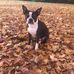 Justin Woosley - Facebook