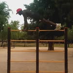 Justinworkout - @justinworkout - Instagram