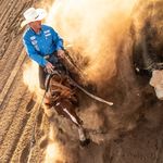 Justin Wright Performance Horses - @justinwright.performancehorses - Instagram