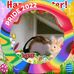 Justine Ash - Facebook
