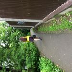 justine barton - @justinebarton744 - Instagram