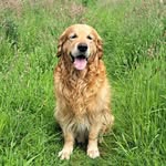 Justine Bauer - @just.ine.b.b - Instagram