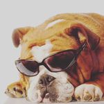 Justine Bennett - @justinebennett565 - Instagram