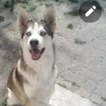 justine boucher - @justineboucher02 - Instagram