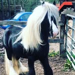 Justine Ellis - @teddy.boy1234 - Instagram