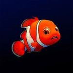 @justine_fishexpert - Instagram
