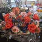 Justine Prunka Fishman - @justinefishman - Instagram