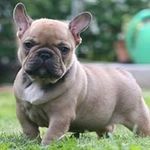 Justine Hardy - @justine5498 - Instagram