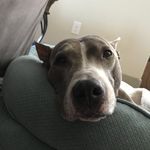Justine Hung - @jyhungry - Instagram