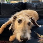 Justine Macey - @justinemacey - Instagram