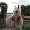 Justine Schulz - @schnulle07 - TikTok