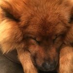 Justine Silverstone - @justinesilverstone - Instagram