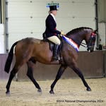 Justine Armstrong-small - @justridinglessons - Instagram