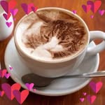 Ka Leung Chau - @chau.sir - Instagram