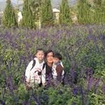 Ka Leung Fan - @kaleungfan - Instagram